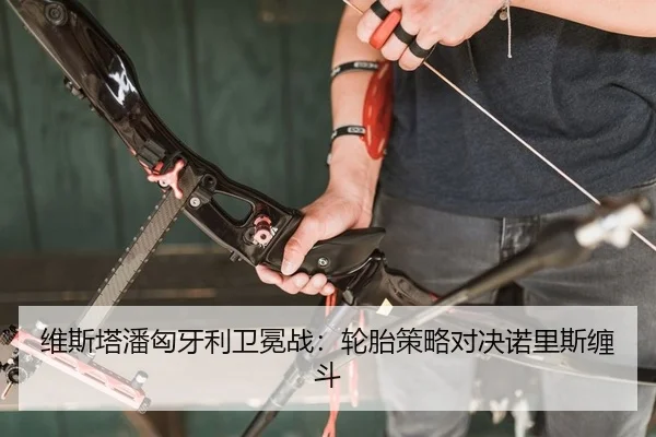 wei-si-ta-pan-xiong-ya-li-wei-mian-zhan-lun-tai-ce-lve-dui-jue-nuo-li-si-chan-dou-2-771.jpg